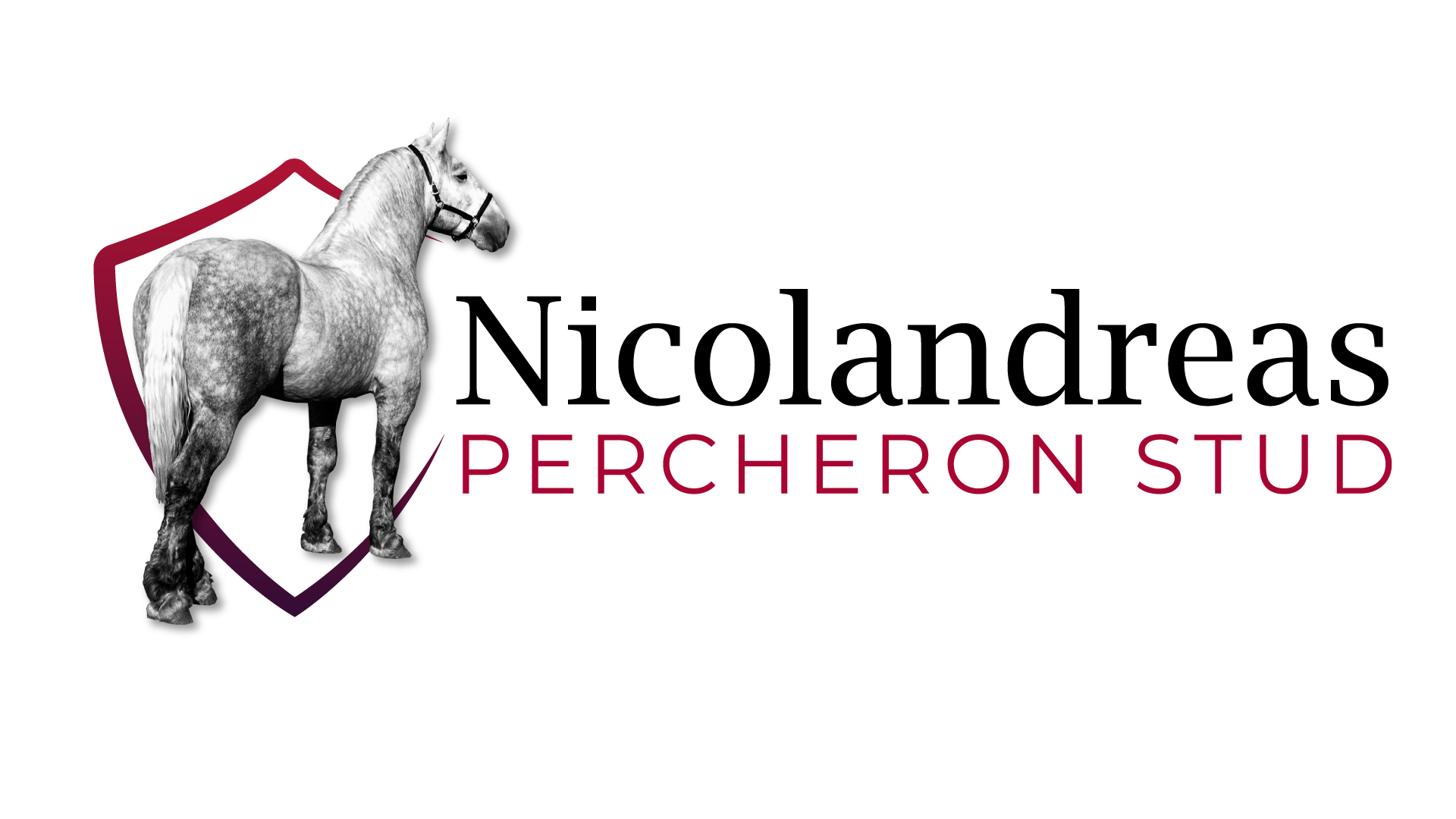 Lover, Breeder and owner of quality Percheron Horses and supplier of heavy horse harnasses and tack. We love all other Draught breeds.