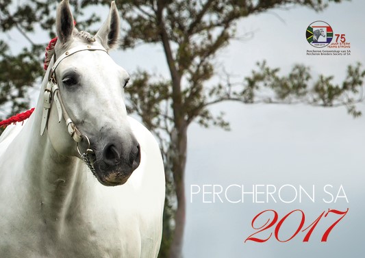 Die Percheron Perderas