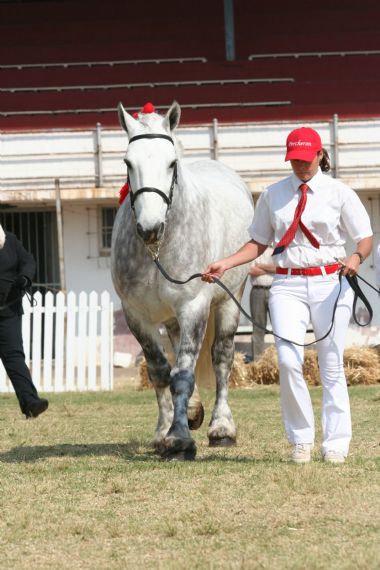 20100903_241_1_th1.JPG