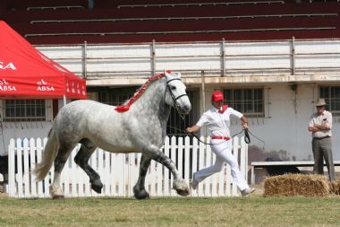 20100903_252_1_th1.JPG
