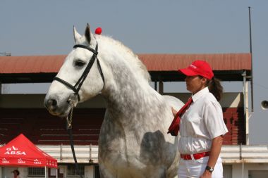 20100903_272_1_th1.JPG