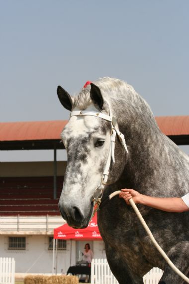 20100903_308_1_th1.JPG