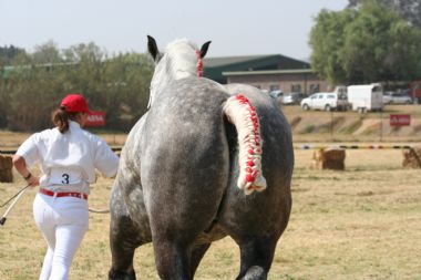 20100903_348_1_th1.JPG