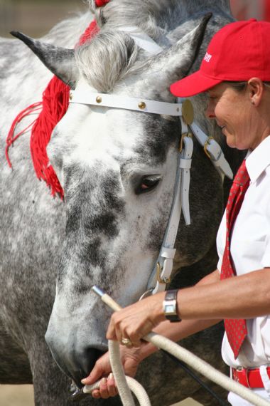 20100903_385_1_th1.JPG