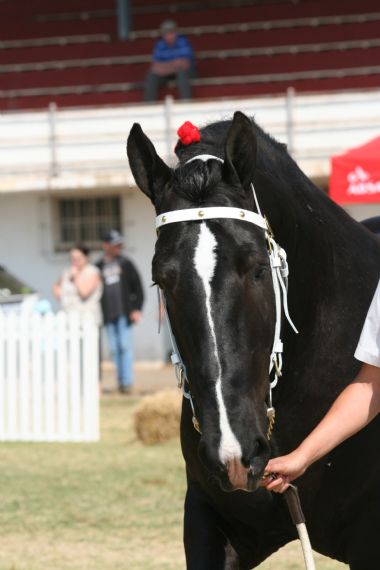 20100903_405_1_th1.JPG