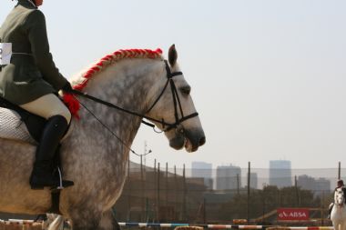 20100903_560_1_th1.JPG