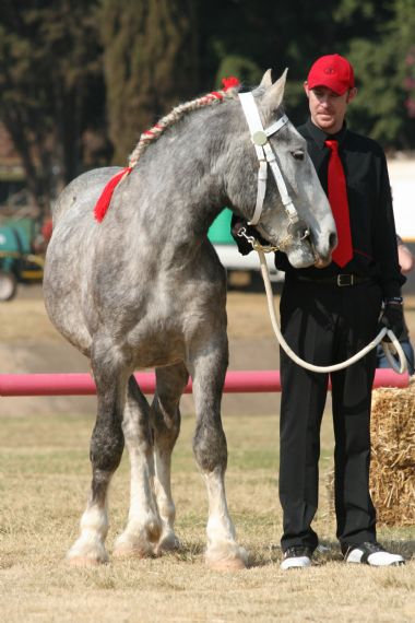 20100903_98_1_th1.JPG