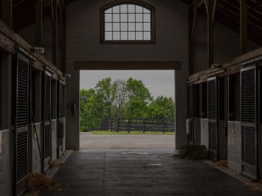 Percheron Breeders Society SA