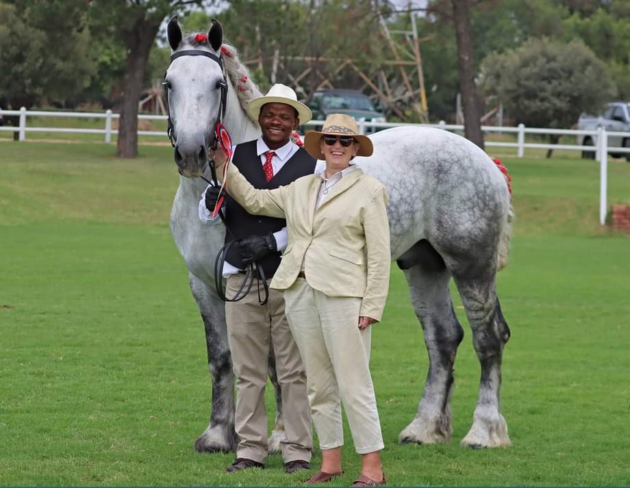 Jozaak Stud