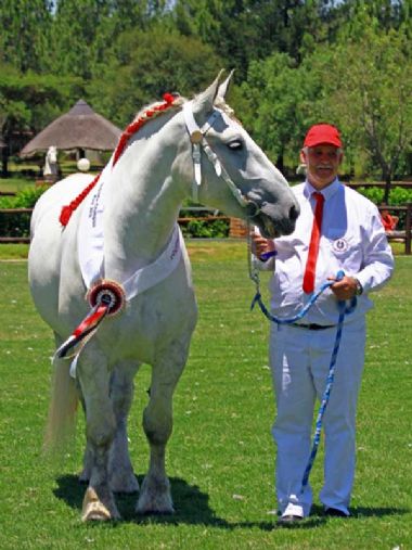 Grootkampioen-Merrie--Streekskampioenskappe--Victoire-D'-Ajain_1_th1.jpg