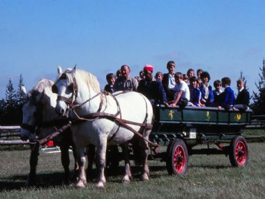 Skoolkinders besoek Elsenburg met Albertus Hanekom aan die stuur, laat 70’s.