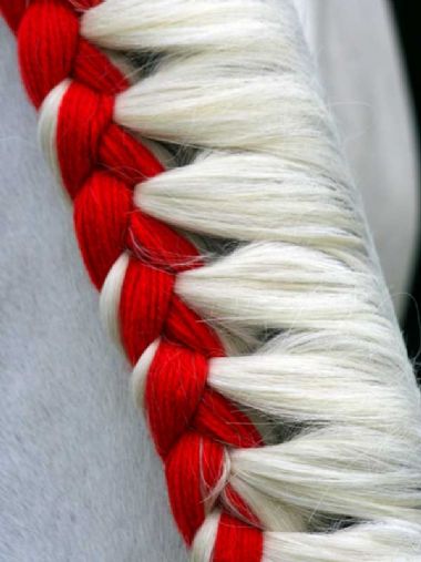 Mane_1_th1.jpg