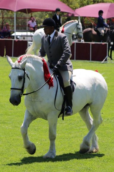 SA-Percheron-2021-10_1_th1.jpg
