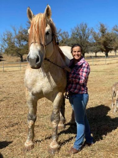 SA-Percheron-2021-16_1_th1.jpg
